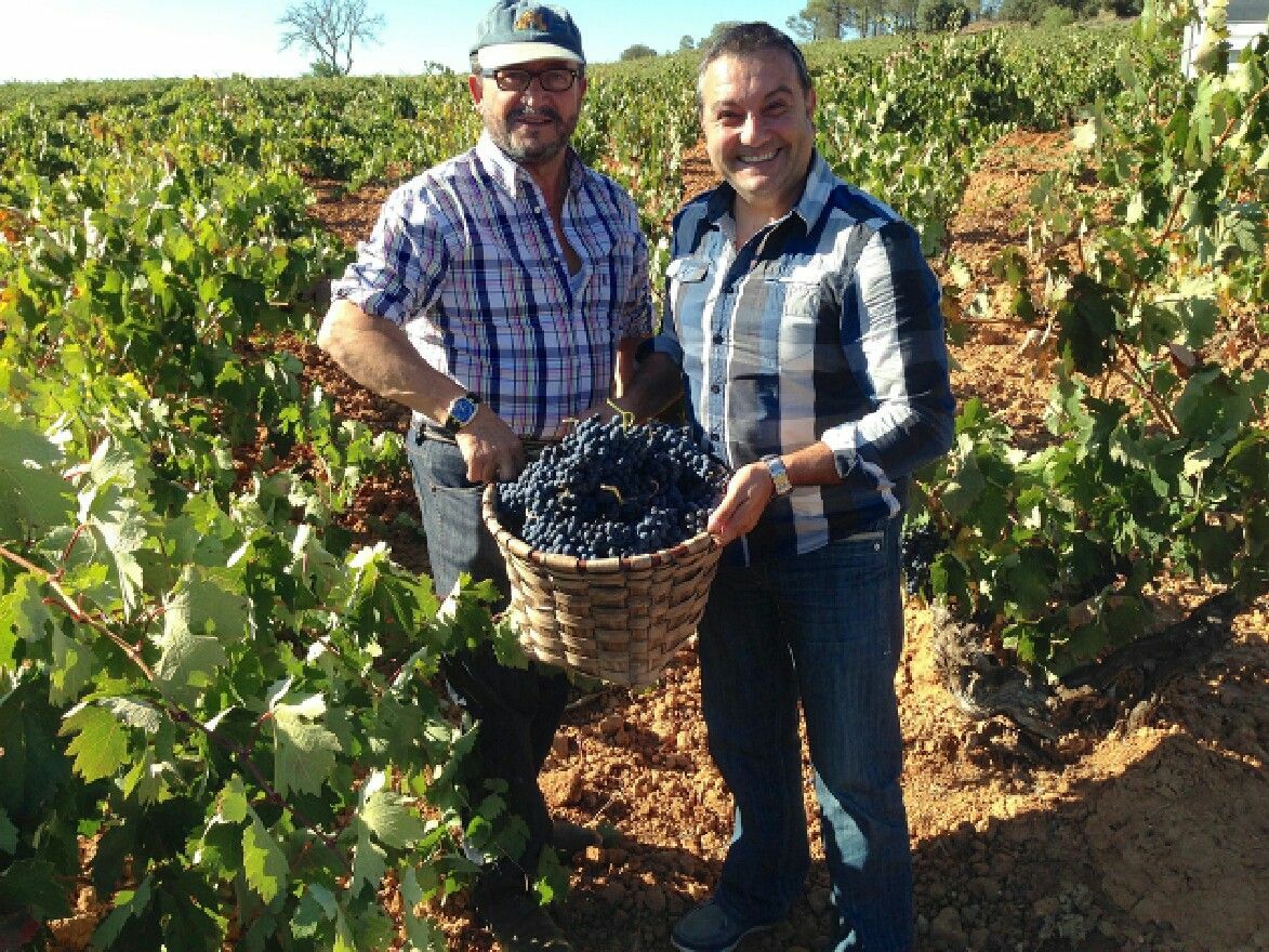 Vendimiando Tinus Figuero