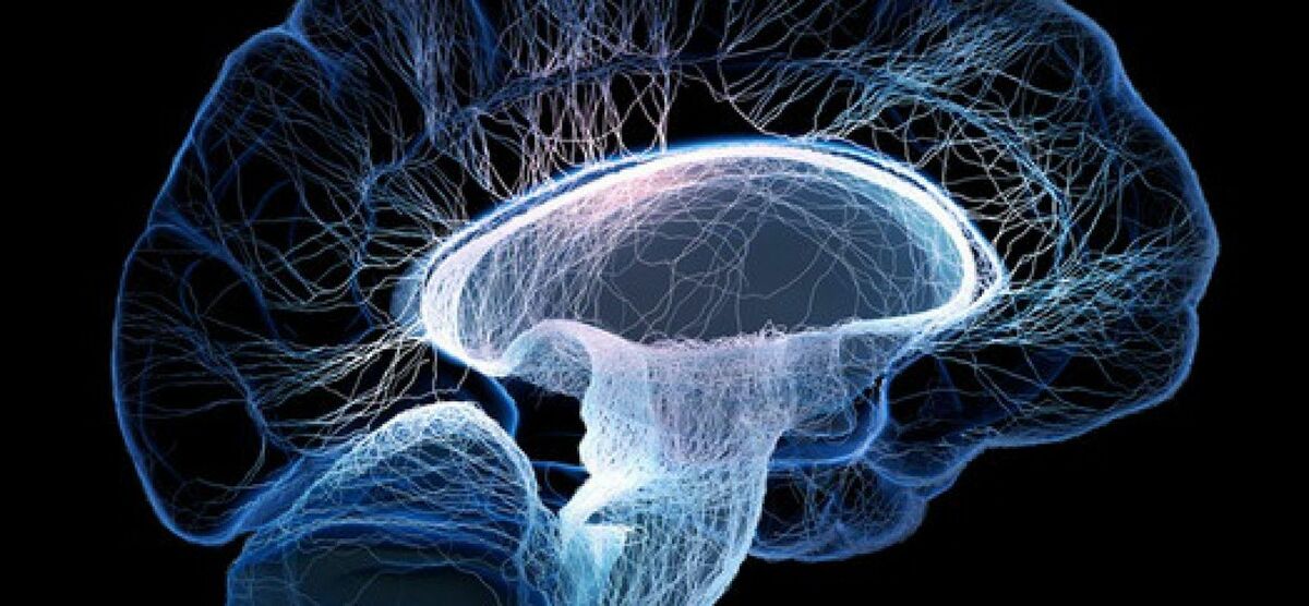 cerebro