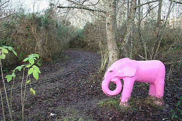 elefante rosa