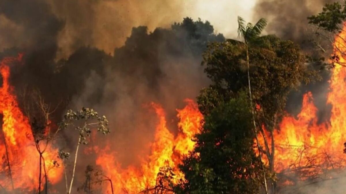 amazonia incendios