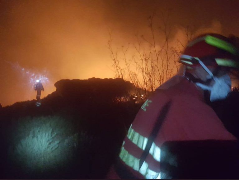 Imagen de un incendio forestal.