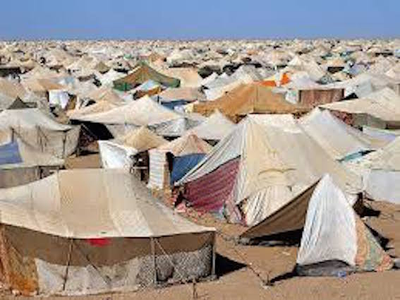 foto campamento saharaui