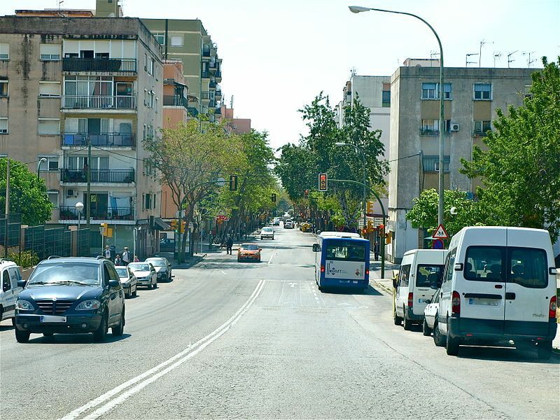 Pont_de_Son_Gotleu
