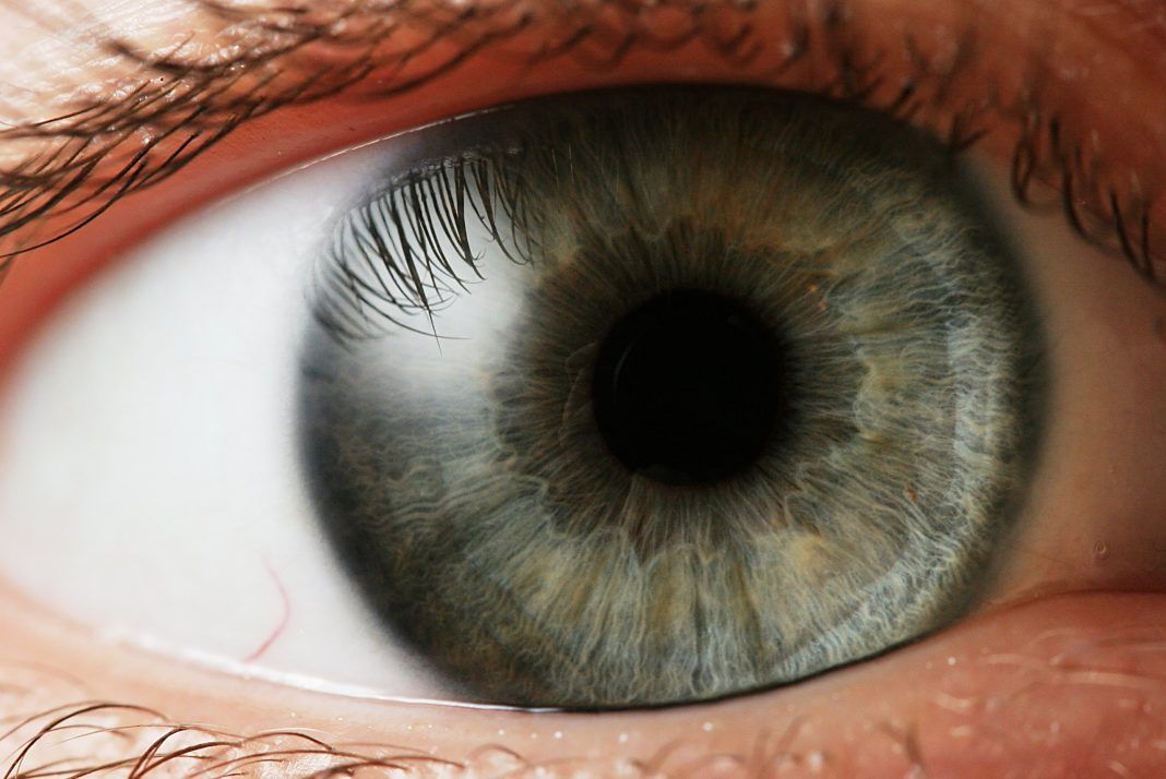 ojo-1068x714