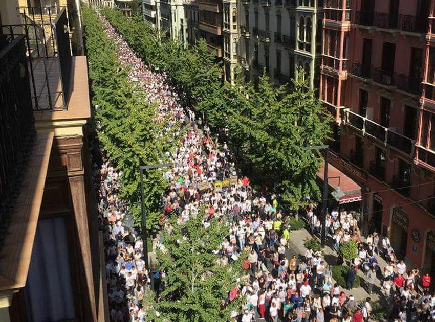 manifestacion-granada-sanidad-2