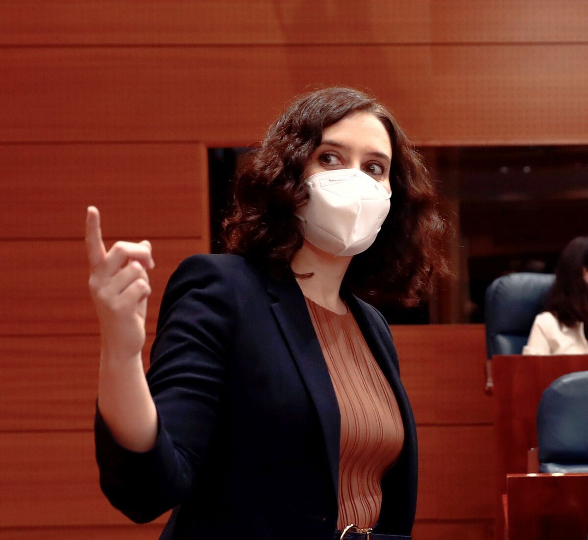 Pleno de la Asamblea de Madrid