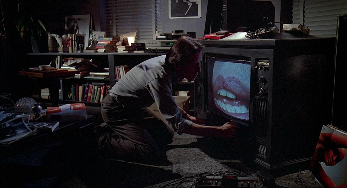 030-a-videodrome