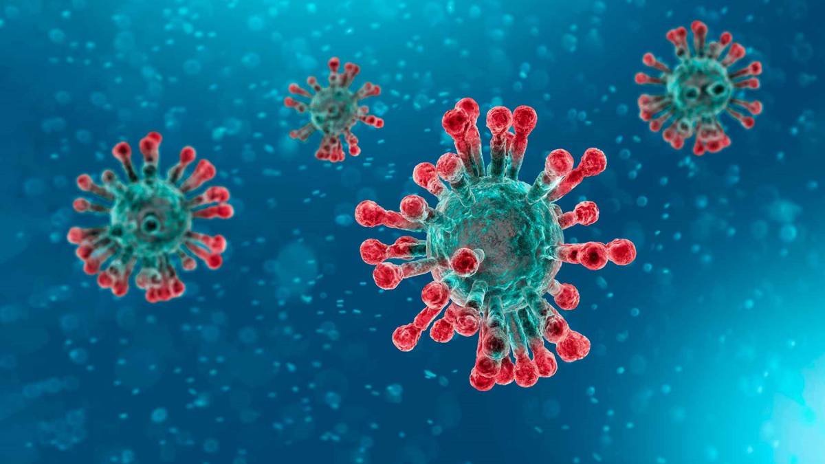 Coronavirus confinamiento