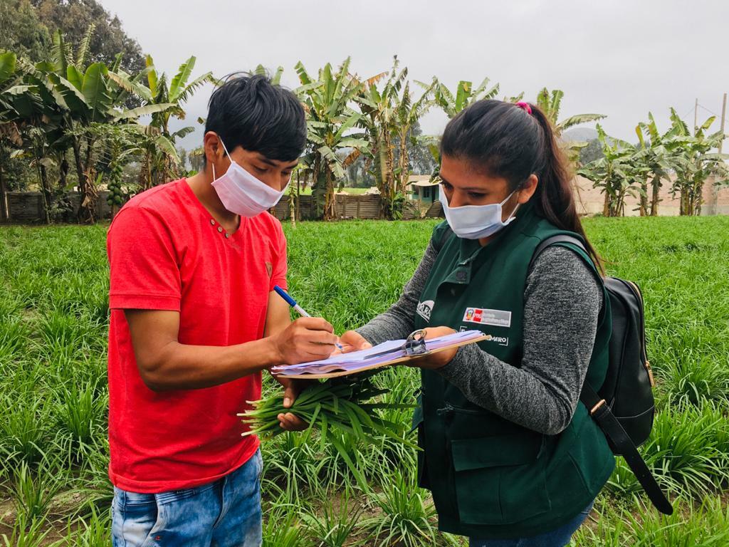 coronavirus latam
