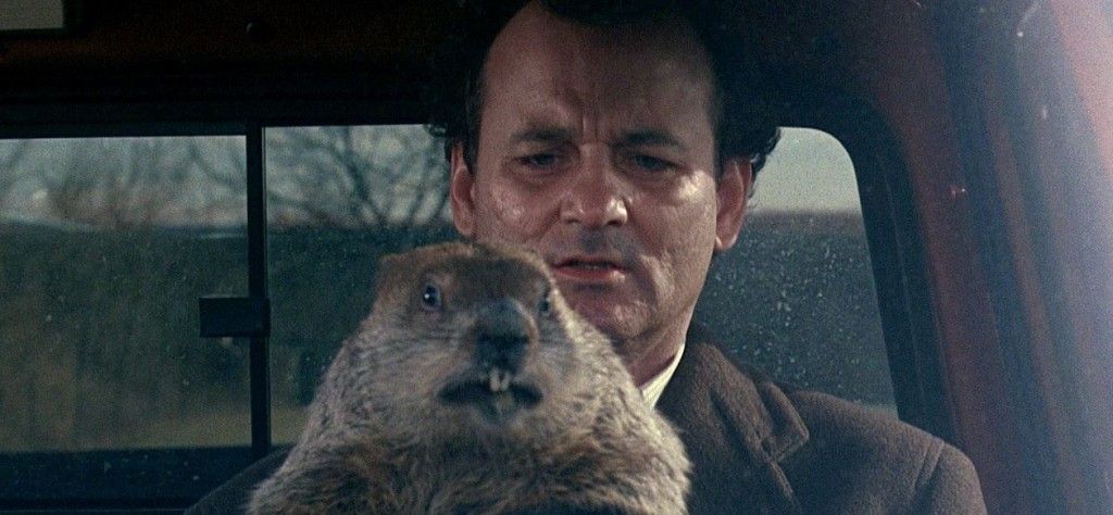 marmota-e1453136669772-1024x474.jpg