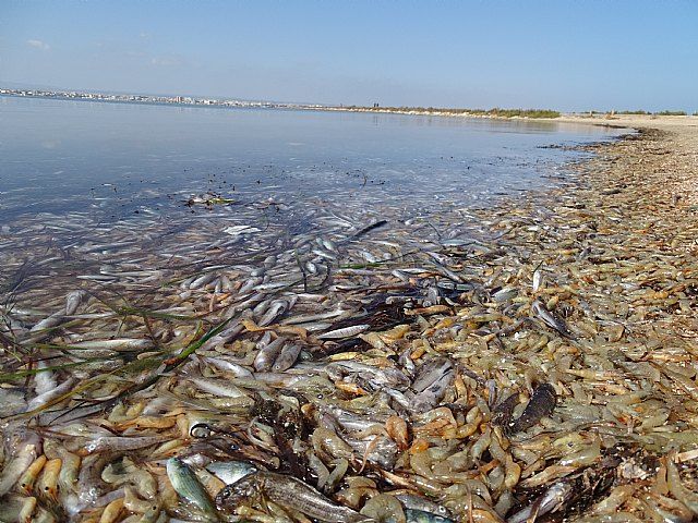 mar menor