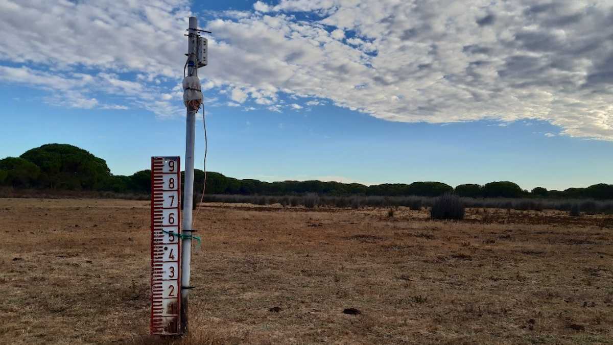 Doñana está en serio peligro por la sobreexplotación de sus acuíferos