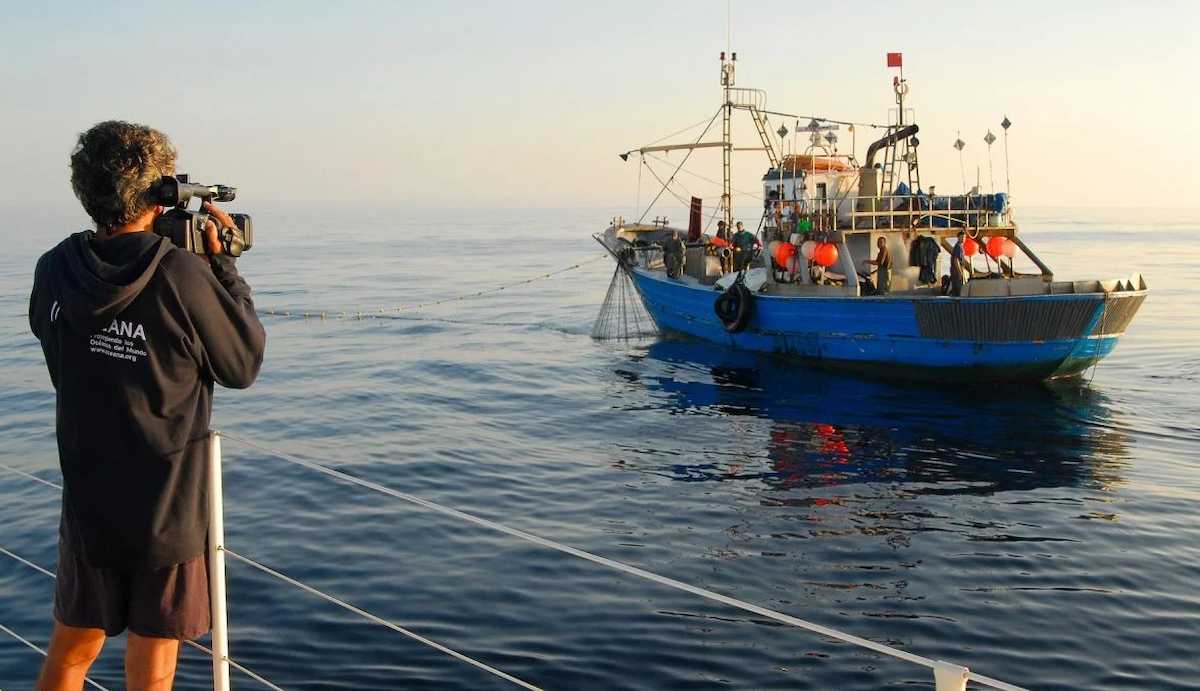 Ambos países no son transparentes, según Oceana, en su metodología para determinar qué buque debe tener más acceso a las oportunidades de pesca, al no publicar sus criterios y su ponderación o al dificultar el acceso a ellos. | Foto: Oceana
