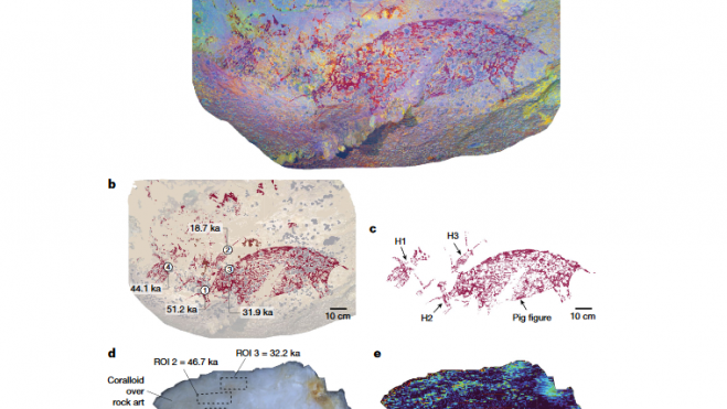 a, Fotos de panorama del panel de arte rupestre (con fotografías mejoradas con DStretch-ac-lds.cb). b, Racing of the rock art panel mostraba los resultados de LA-U-series dating. c, Racing of the pintaed scene most the human-like figures (H1, H2 y H3) interactuando con el cerdo. d, Vista transect del esquelético coralino, muestra LK1, eliminado del panel de arte rupestre, mostrando la capa de pintura y las tres zonas de integración (H1 H2 y H3) interactuando con el cerdo. d, Vista transect del esquelético coralino, muestra LK1, eliminado del panel de arte de roca, mostrando la capa de pintura y las tres zonas de integración (IH), así comolos cálculos de edad asociados. e, Imágenes LA-MC-ICP-MS de la relación de actividad isotópica LK1 232 Th/ 238 U.