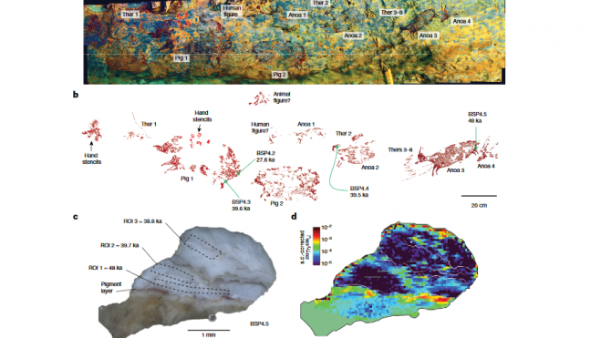 a, Panorama de fotos del panel de arte rupestre (utilizando fotografías mejoradas con DStretch-Ire). Ther, therianthrope. b, Trazamiento del panel de arte rupestre fechado que muestra los resultados de la datación de LA-U-series d. c, Vista transecta de la muestra de arte BSP4.5 después de la eliminación de la obra, destacando la capa de pintura y las tres zonas de integración (ROIs) y cálculos de edad asociados. d, 232Imágenes LA-MC-ICP-MS de la relación de actividad isotópica BSP4.5 232 Th/ 238 U.