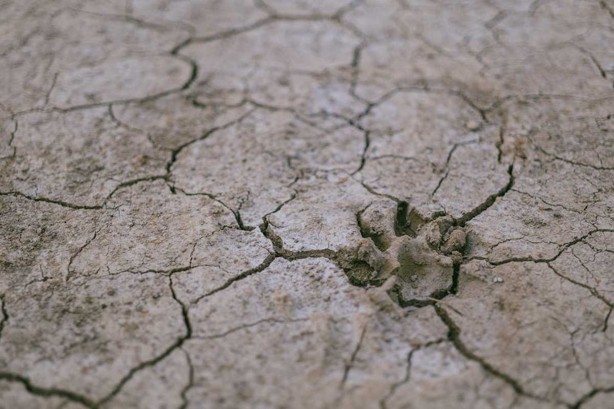 Problemas inminentes del Cambio Climático