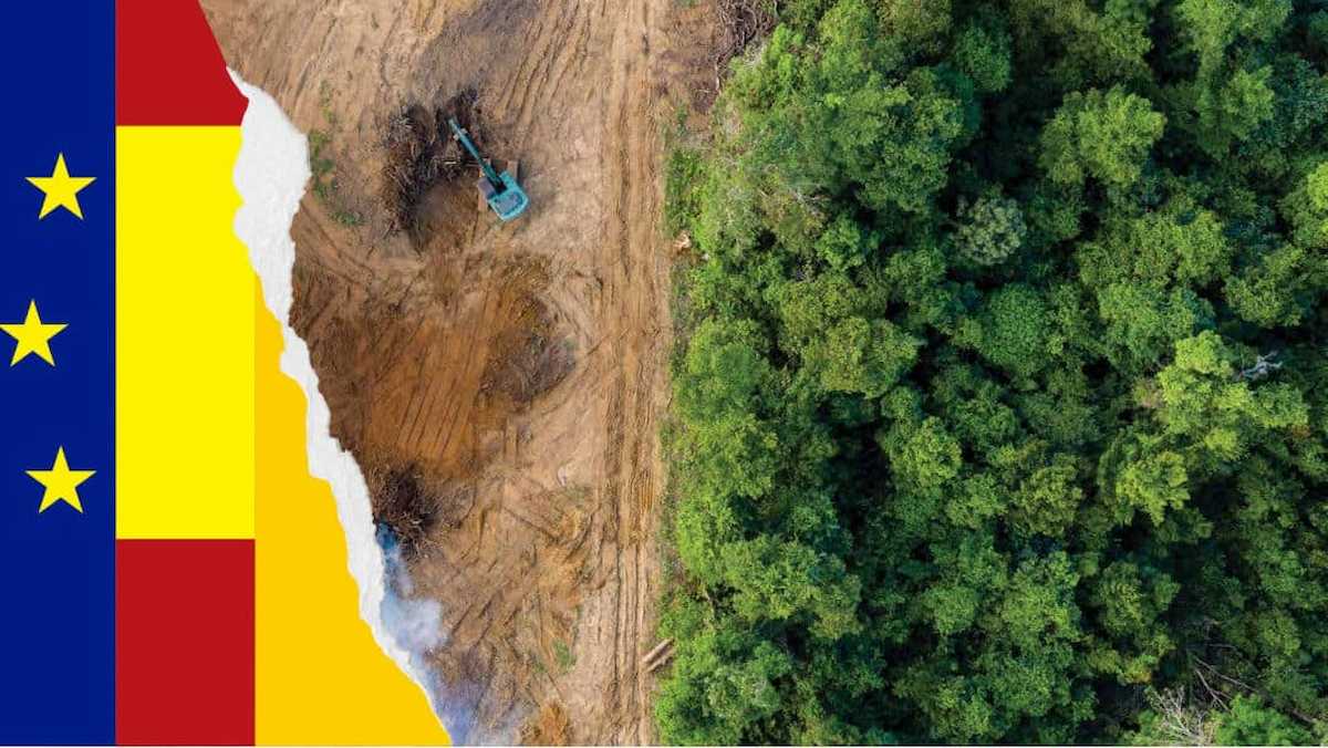 Alianza Cero Deforestación han presentado alegaciones para mejorar la ley mediante la concreción de medidas y evitando cualquier incertidumbre de protocolos de actuación o de productos a los que son de aplicación. | Foto: Ecologistas en Acción