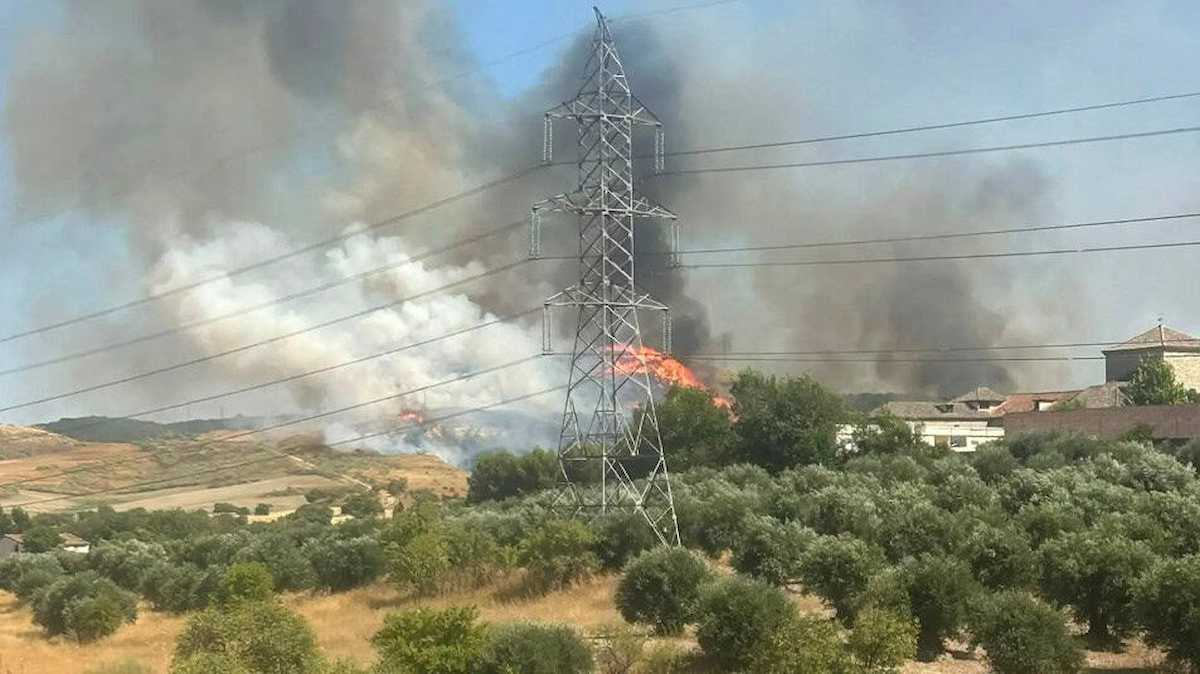 Ante el incendio de Loeches, que ha calcinado 720 hectáreas de cultivo, pasto y bosque mediterráneo, los colectivos ecologistas piden la actuación del Gobierno Ayuso | Foto: Ecologistas en Acción