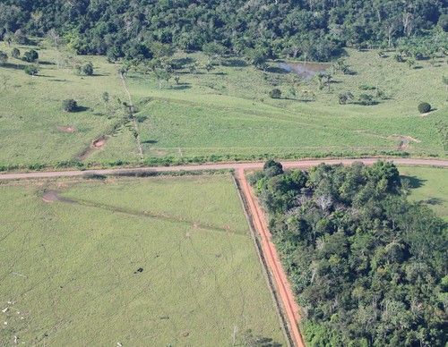 selva amazónica