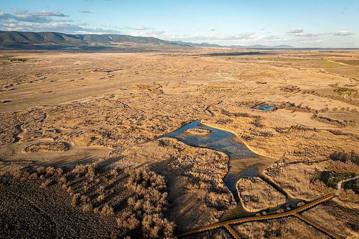 Uno de los mitos más extendidos: la culpa de la sequía la tiene en exclusiva la falta de lluvias. | Foto: WWF/Adena