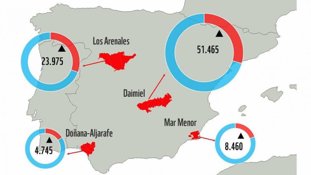 En la siguiente gráfica puedes ver el número de hectáreas regadas: en color rojo destacan las regadas con agua extraída de forma ilegal. | Foto: WWF