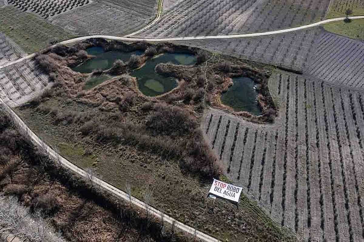 Las Tablas de Daimiel es el caso más dramático: Urge reducir la demanda de agua en el regadío manchego para recuperar este espacio natural. | Foto: José Luis Regalado y WWF España