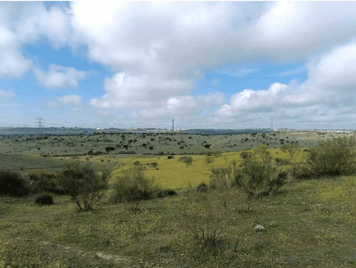 Los Carriles de Alcobendas. Por el fondo del valle discurre el arroyo Valdelacasa. | Foto: Ecologistas en Acción