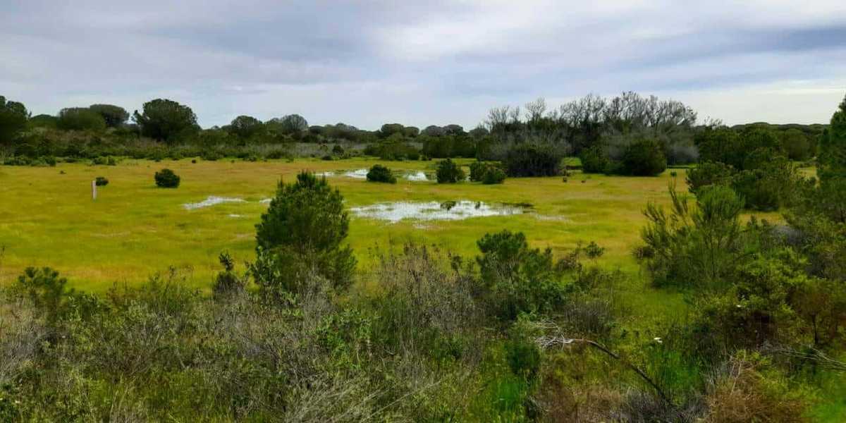 Una de las lagunas peridunares, la de Navazo del Toro, en la actualidad. | Foto: Ecologistas en Acción