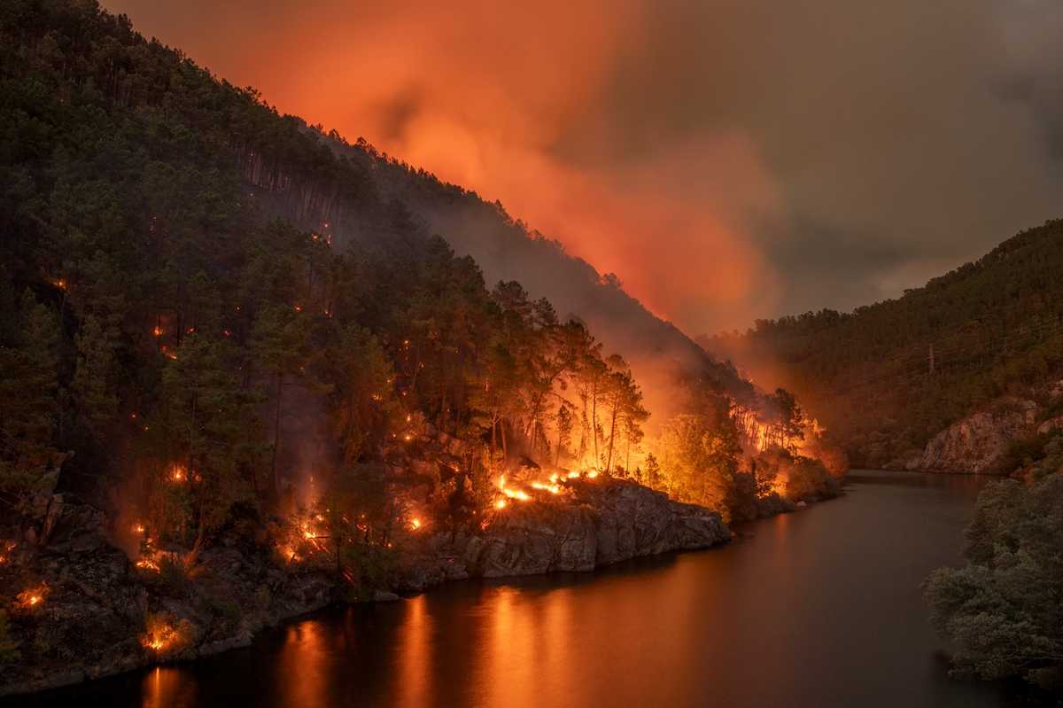 Los incendios forestales son un problema social que requiere más esfuerzos de la Administración, pues afecta no sólo a la biodiversidad y a los hábitats naturales, sino también a quienes viven en el ámbito rural y en la interfaz urbano-forestal. | Foto: WWF España