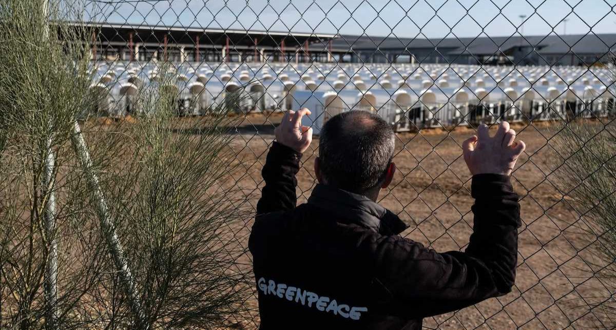 Luis Ferreirim durante la investigación en el entorno de la macrogranja de Valle de Odieta en Caparroso, Navarra. | Foto: Greenpeace /Pedro Armestre