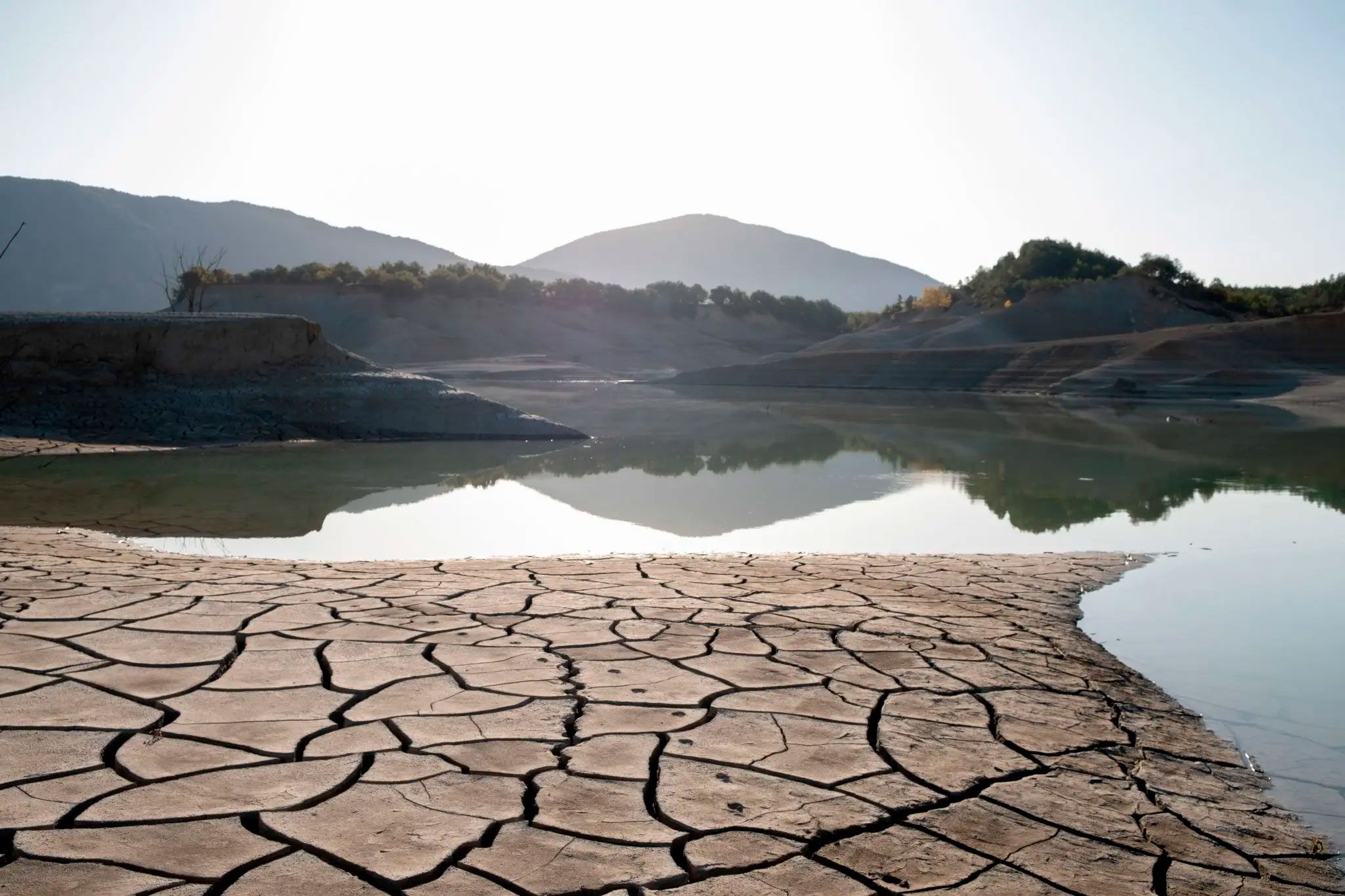 Greenpeace alerta sobre la necesidad de reducir el regadío en ante la emergencia climática