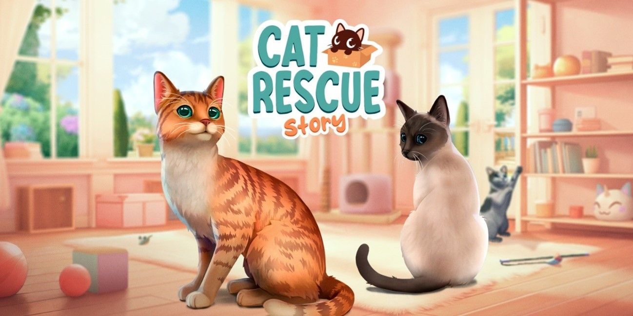 Rescue Cat Story