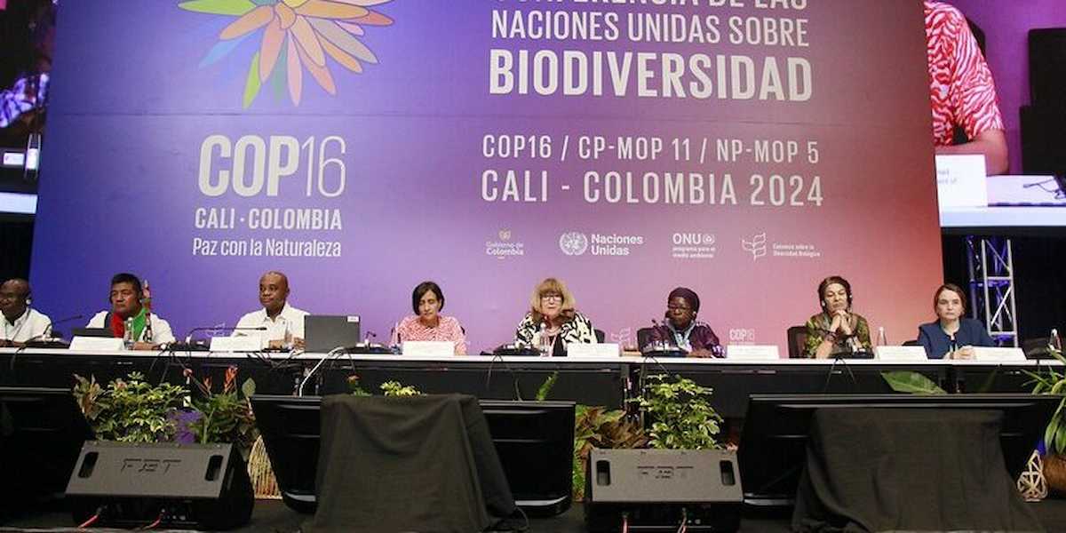 Una de las mesas de debate en la COP16 sobre biodiversidad, aspecto por el que los colectivos ecologistas reclaman a Sánchez más acciones. | Foto: COP16