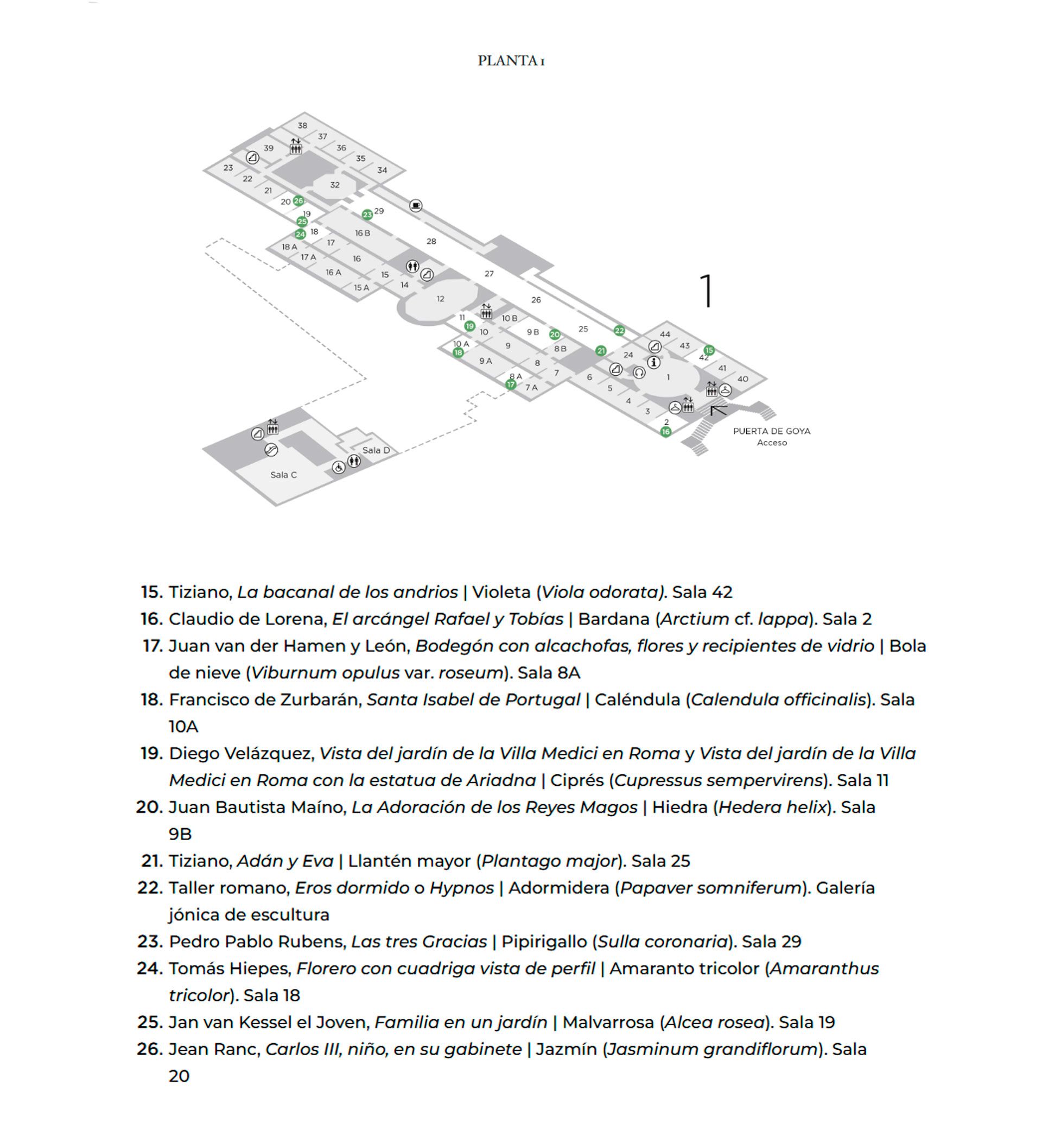 Planta 1