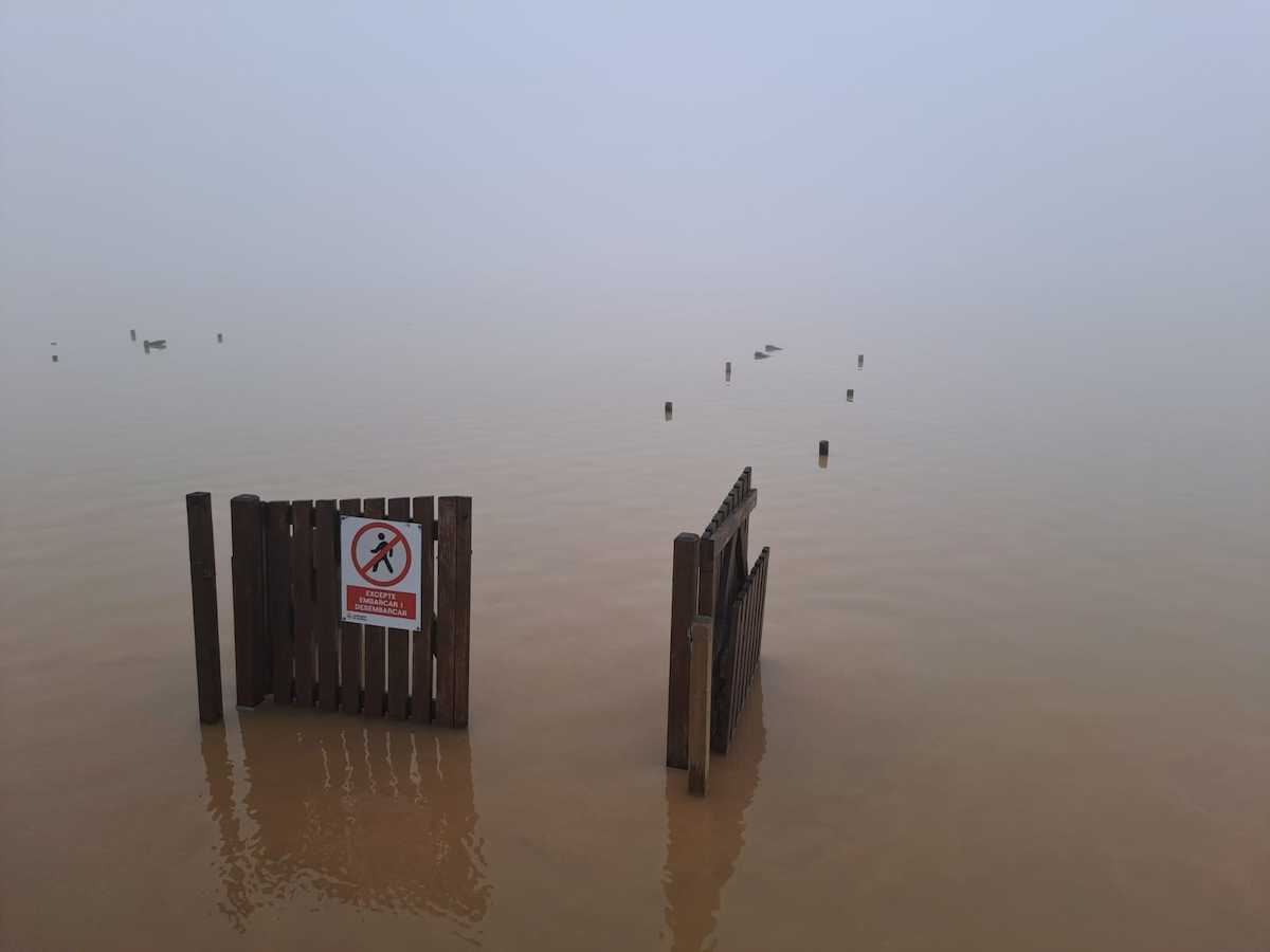 La Albufera bajo el agua tras el desastre de la DANA. | Foto: SEO/BirdLife