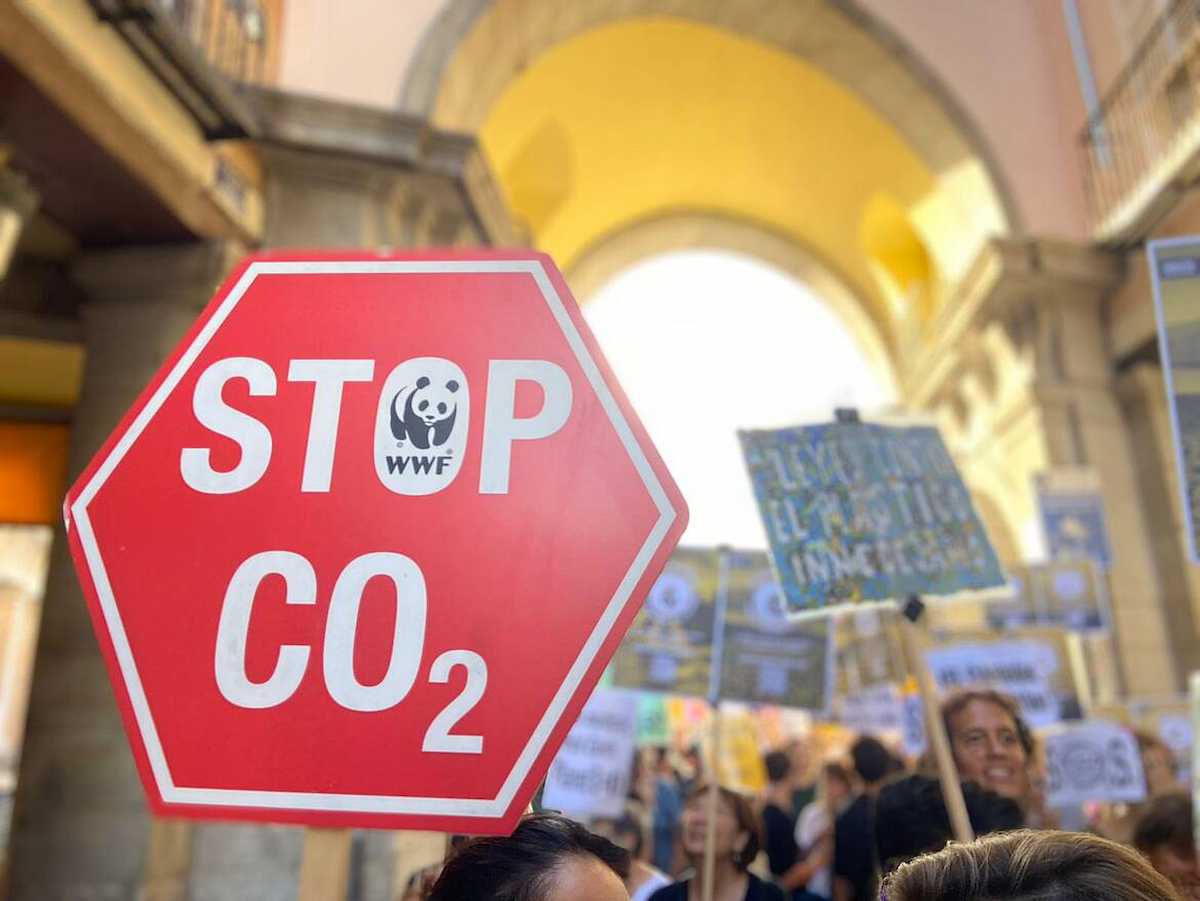 La COP29, según WWF, también debería aspirar a consolidar el papel de la naturaleza en la acción climática. | Foto: WWF