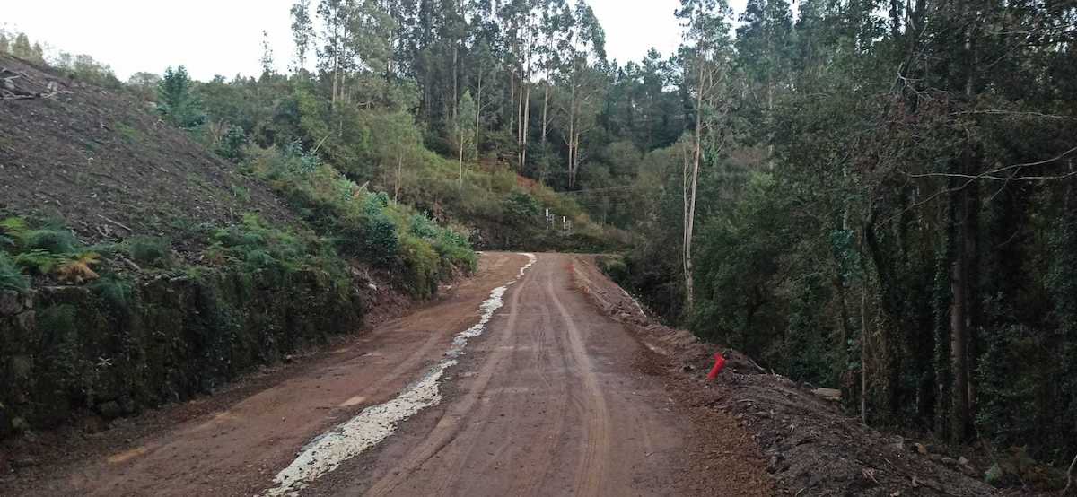 Obras en el bosque Banquete Conxo. | Foto: Ecologistas en Acción