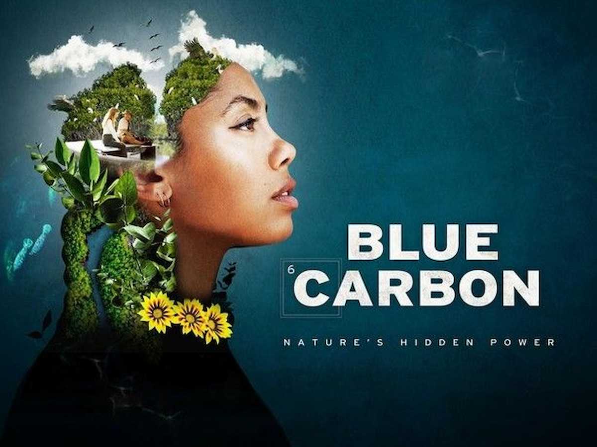 Blue carbon