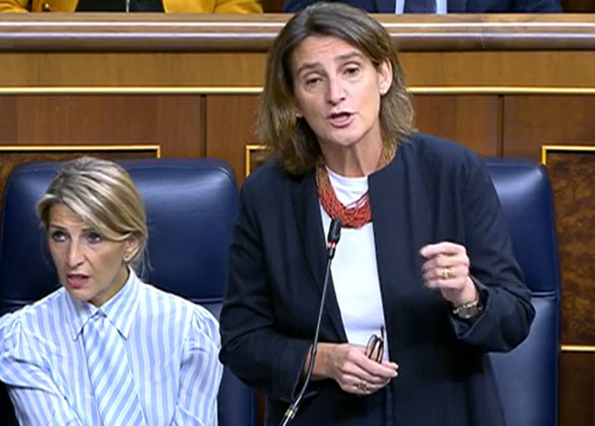 Teresa Ribera durante su comparecencia en el Congreso de los Diputados. Ribera: 