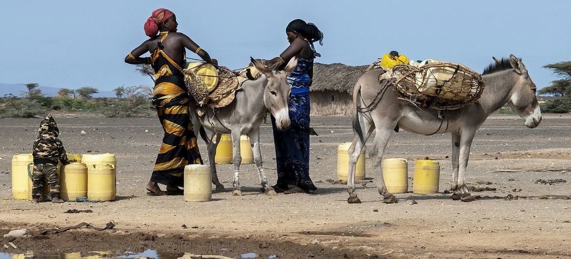 Mujeres recogiendo agua en Marsabit, al norte de Kenia. | Foto: PMA/Alessandro Abbonizio