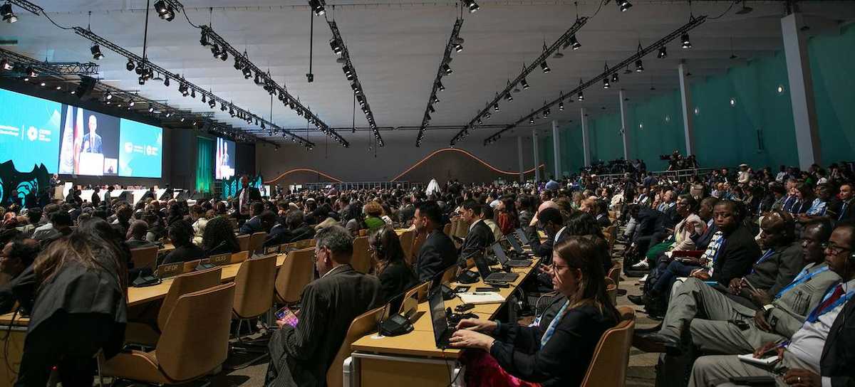 La COP29 ha planteado las normas para un mercado mundial del carbono respaldado por la ONU. | Foto: UNFCCC/Kiara Worth