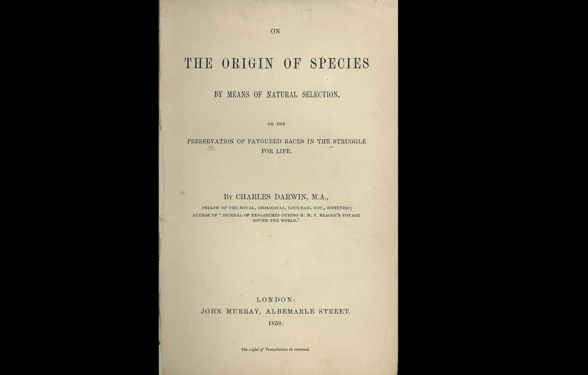 Un ejemplar de 'El origen de las especies', de Charles Darwin, que refuta al teoría bíblica del creacionismo.