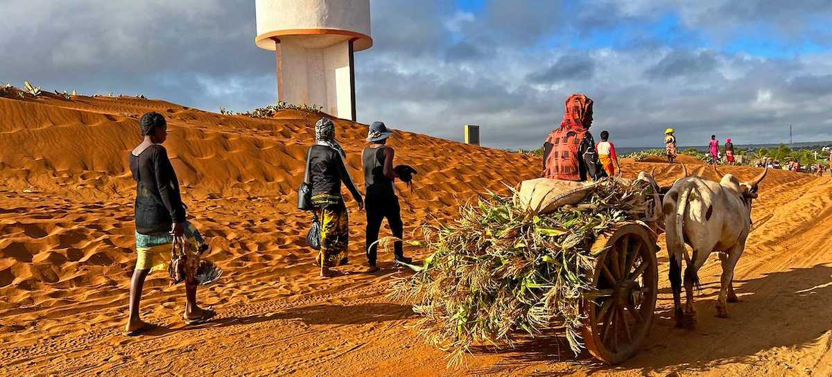 Entre los mil millones de personas menores de 25 años afectadas por la desertificación, en Madagascar, los jóvenes agricultores ven cómo la arena es impulsada por los vientos estacionales tierra adentro. | Foto: ONU/Daniel Dickinson