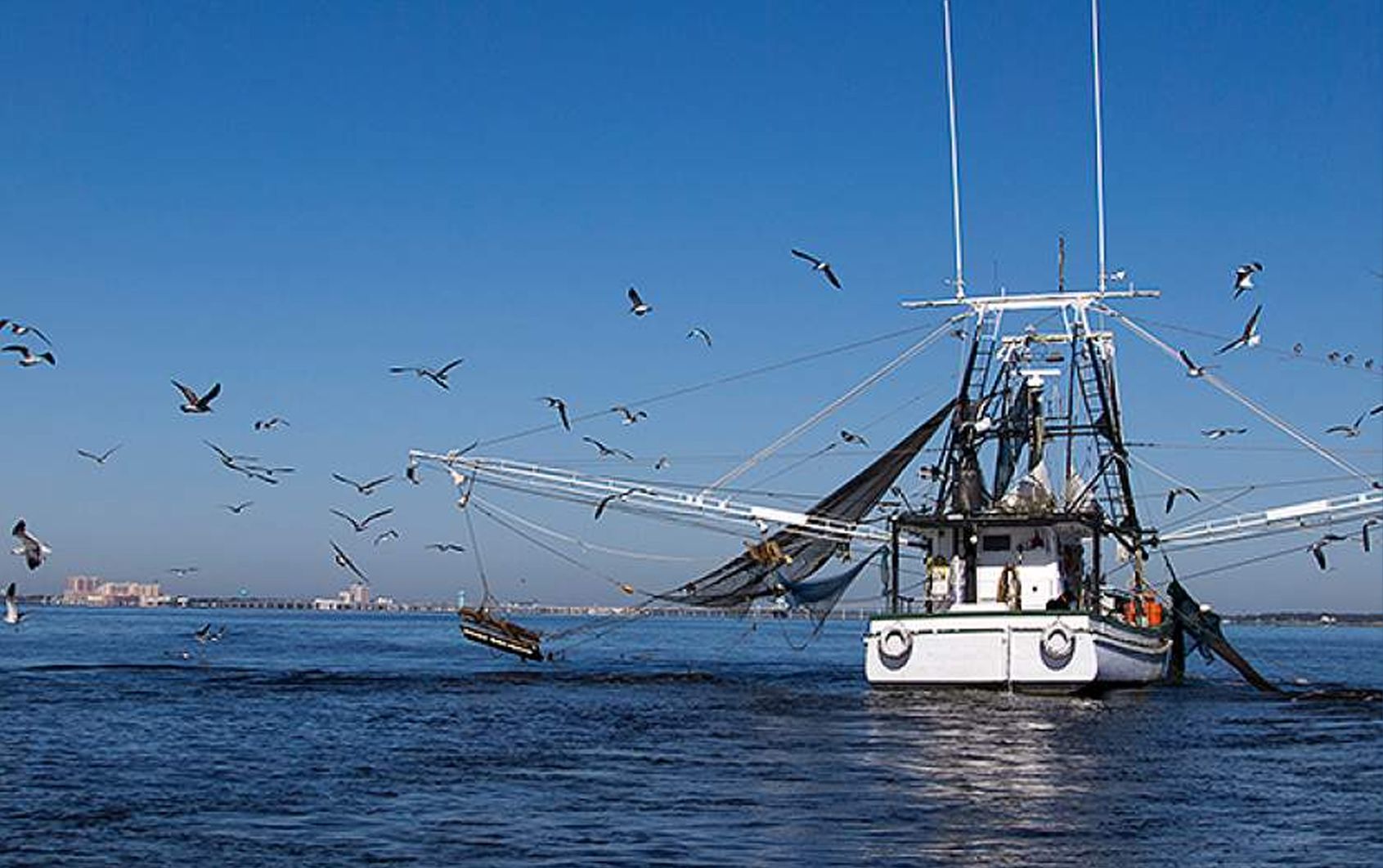 Bruselas acuerda una reducción del 66 % en la pesca en el Mediterráneo y que sea más sostenible