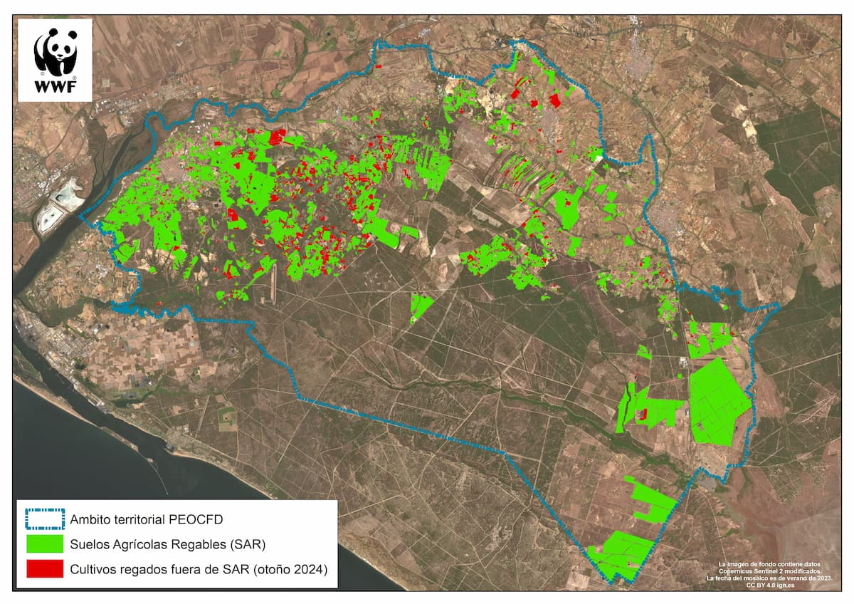 En la Andalucía de Moreno Bonilla aún se siguen regando 1.190  hectáreas de regadíos fuera de suelos agrícolas regables. | Foto: WWF