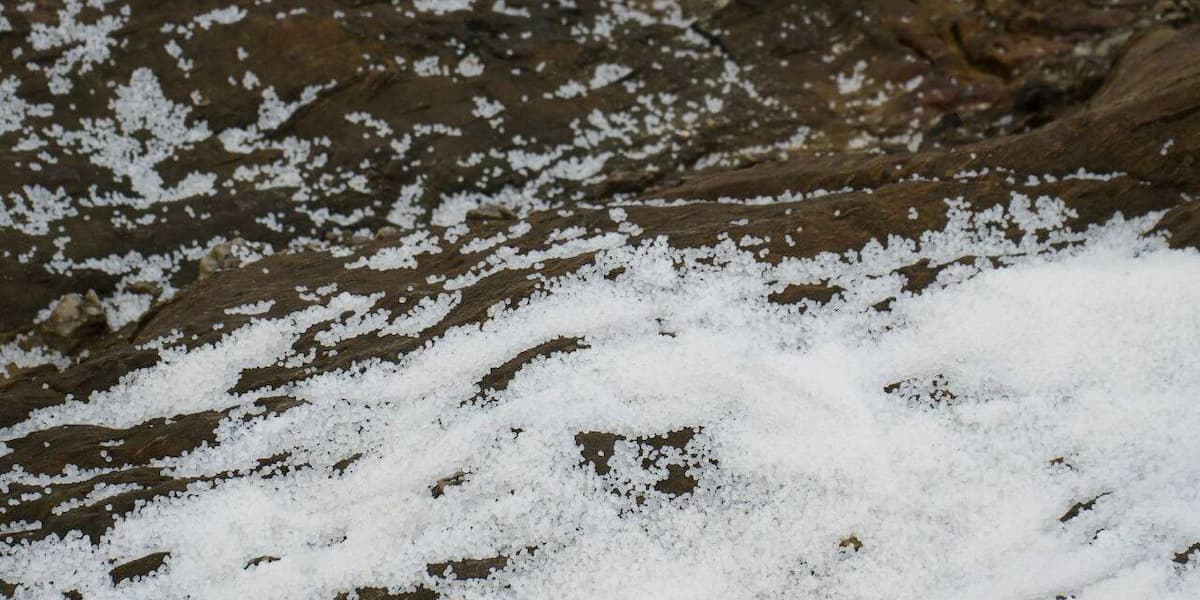 Pélets procedentes del vertido del carguero Toconao. | Foto: Ecologistas en Acción