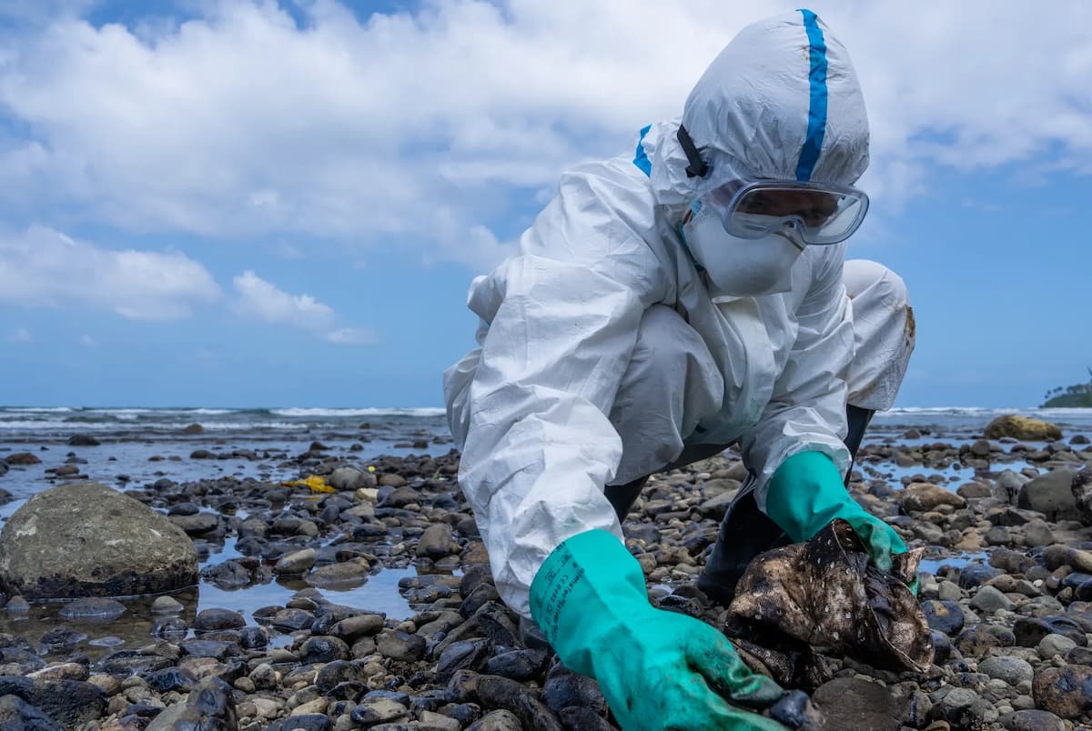 No es la primera vez que la región se enfrenta a una catástrofe ambiental. Ya sufrió un vertido de petróleo en 2007, cuando se derramaron entre 1.200 y 1.600  toneladas de petróleo y otros contaminantes procedentes de un petrolero ruso. | Foto: Greenpeace