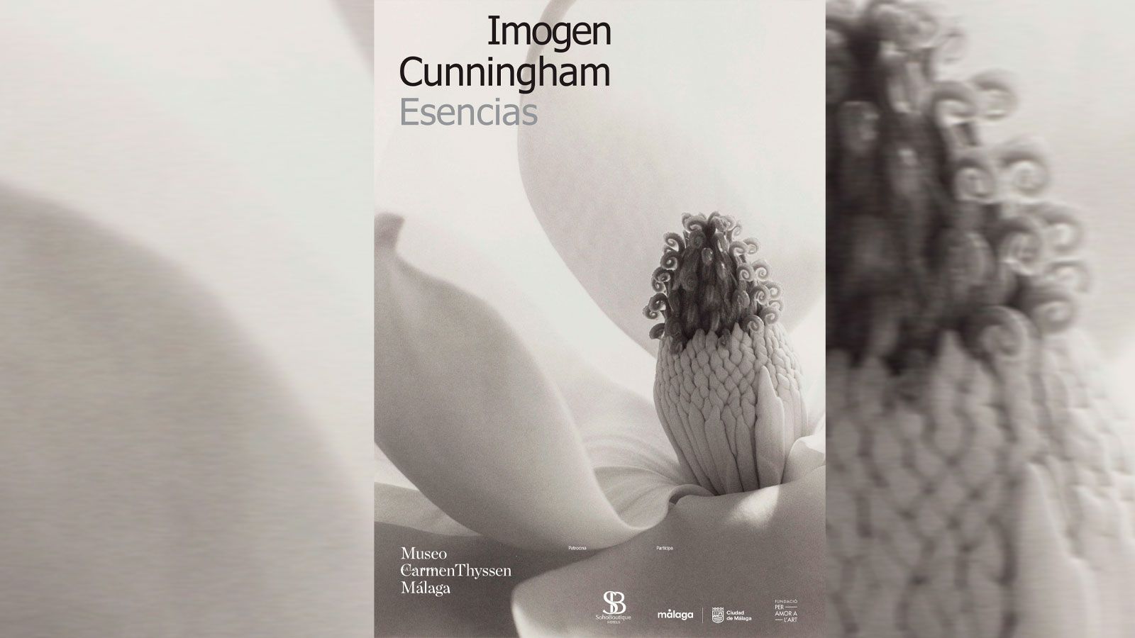 Imogen Cunningham Esencias