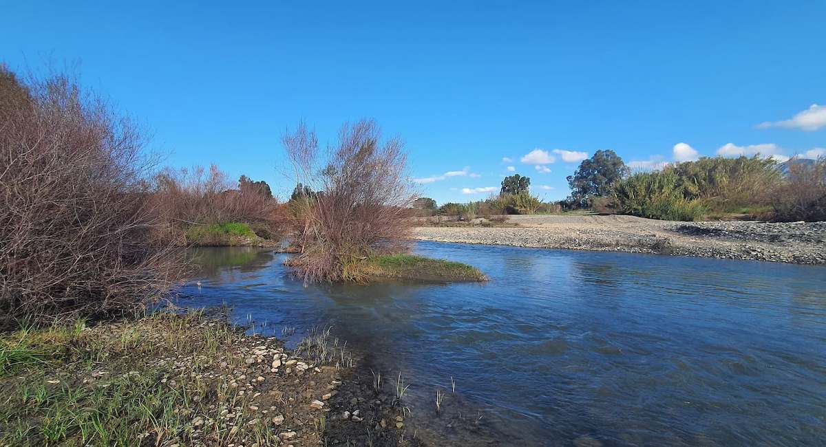 Río Guadiaro y su afluente Genal, zona en la que la Junta permite la proliferación de cultivos tropicales en secano. | Foto: Ecologistas en Acción