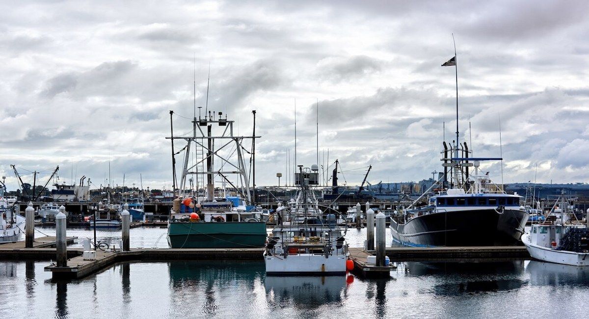 El estudio ha identificado niveles significativos de pesca de contacto de fondo por parte de las flotas en muchas zonas de las aguas de la UE con ecosistemas marinos vulnerables que, no obstante, permanecen desprotegidos. | Foto: Pexels